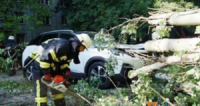 Непогода в Запорожье: буря повалила деревья, ливни затопили улицы