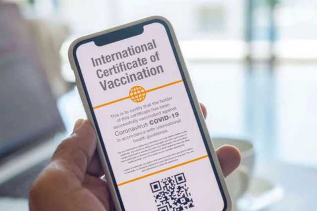 ЕС может ускорить признание украинских «ковидних» сертификатов - Минцифры