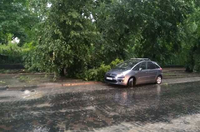 У Львові буревій знову валив дерева