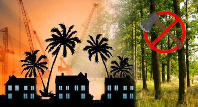 Заповідні котеджі: навколо Чернечого лісу розгорівся будівельний скандал