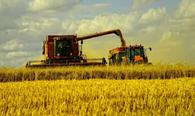 "Нас блокують поліцейські, поки чужий комбайн краде пшеницю": на Херсонщині фермерський скандал