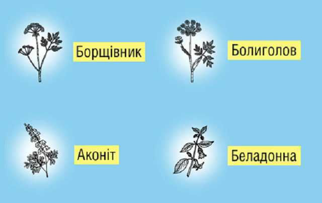 Можуть отруїти, обпалити та паралізувати: МОЗ назвало чотири небезпечних рослини