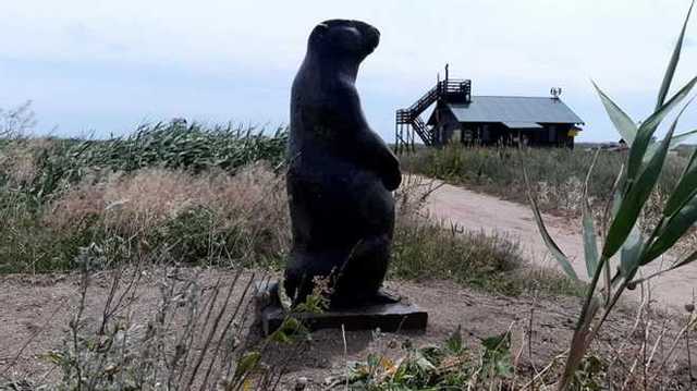 Под Одессой установили памятник сурку