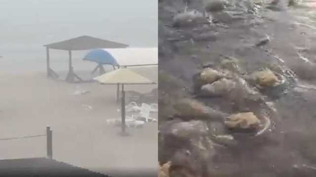 Пляжи курортного Бердянска после мощного шторма засыпало медузами