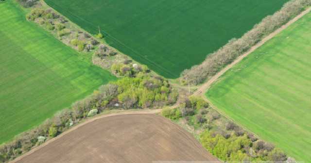 Рынок земли принесет Украине дополнительные $10 млрд инвестиций, - Шмыгаль