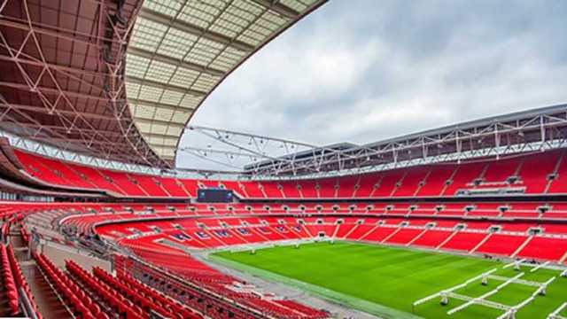 В Англии боятся, что летучие муравьи сорвут финал Евро-2020