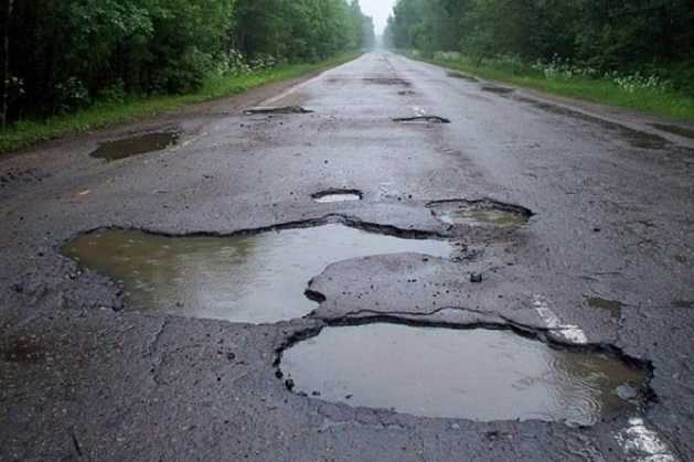 Под Киевом в ямах на разбитой дороге высадили деревья