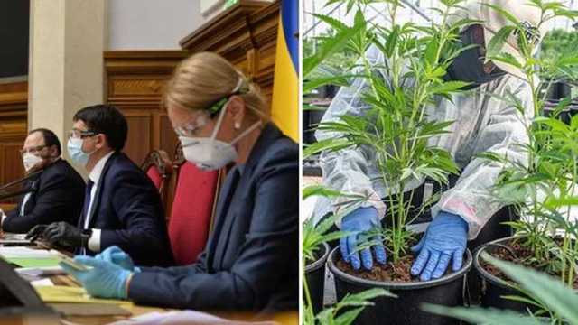 Рада соберется на внеочередное заседание: рассмотрят легализацию медицинского каннабиса