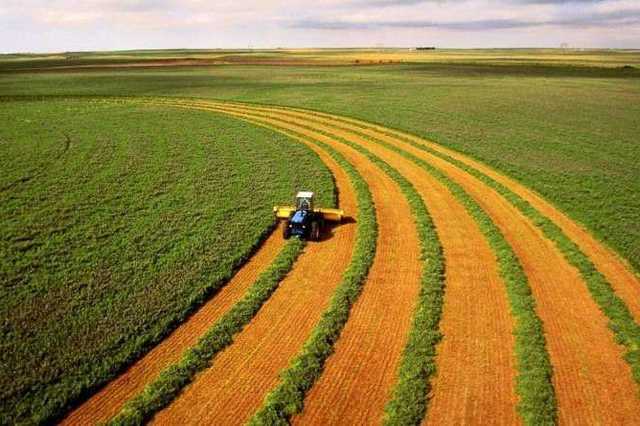 Названы области, где продали больше всего земли