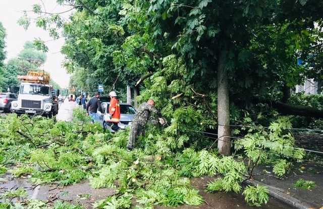 Мужчина пострадал в результате разгула стихии в Житомире