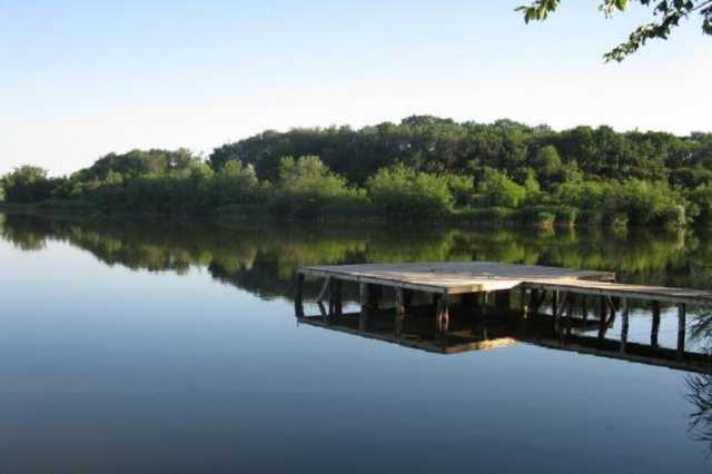 Двое братьев 10 и 14 лет утонули в пруду на Черниговщине