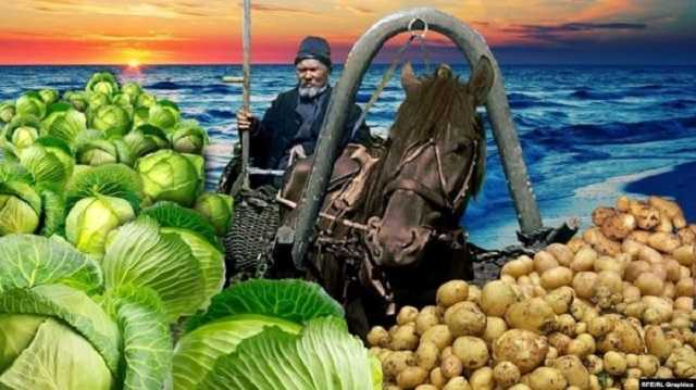 «Золотая эра» закончилась: как Крым потерял статус аграрного региона