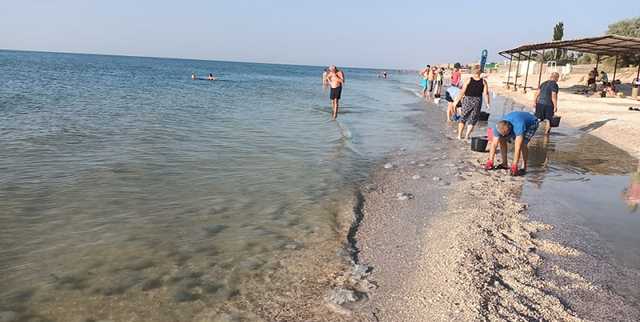 Нашествие медуз: в Кирилловке отдыхающие придумали свой способ борьбы с ними