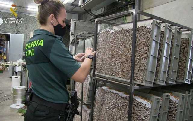 Украинские пограничники помогли разоблачить табачную мафию на Пиринеях