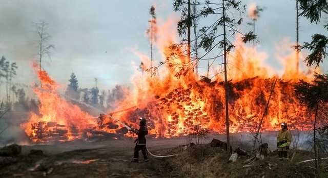Спасатели предупреждают о чрезвычайном уровне пожароопасности