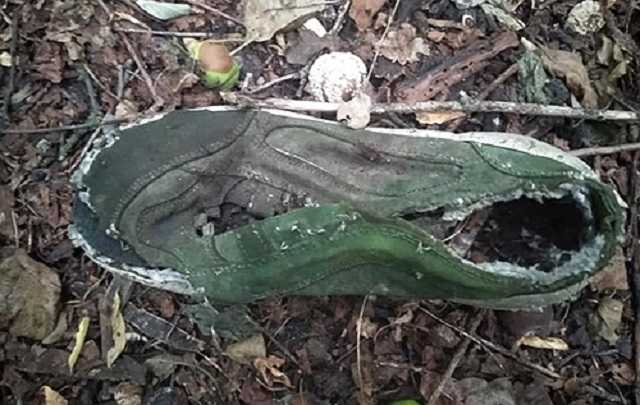 Поліція Луганщини розкрила подвійне вбивство майже двадцятирічної давності