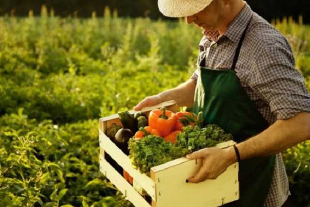Налог на огород: кому придется платить за пользование землей