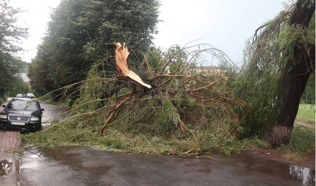 Повалені дерева та “літаючі” дахи: на Прикарпатті п’ятихвилинний буревій наробив лиха