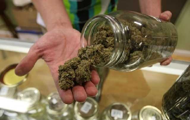 На Херсонщині судитимуть чоловіка, який намагався вивезти партію канабісу до Росії