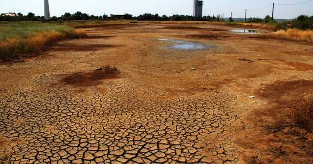 В Бугском лимане – экологическая катастрофа из-за токсичных отходов НГЗ