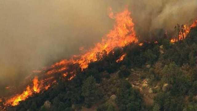 Албанию охватили масштабные лесные пожары: страна ожидает помощь из-за рубежа