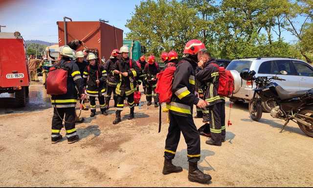 Украинские спасатели борются с огнем в Греции: спасены два населенных пункта
