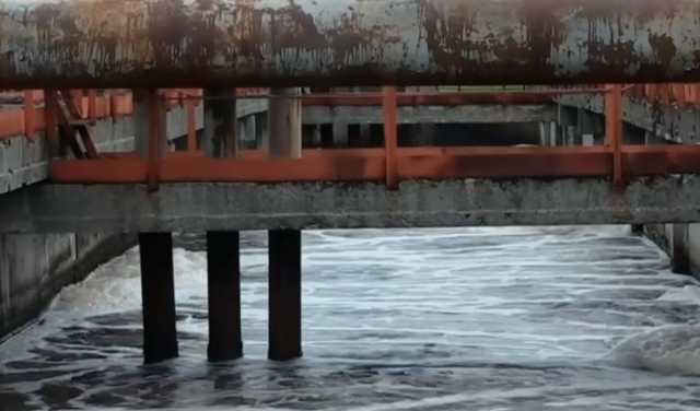 В Житомире нечистоты попали в реку Тетерев: массово гибнет рыба