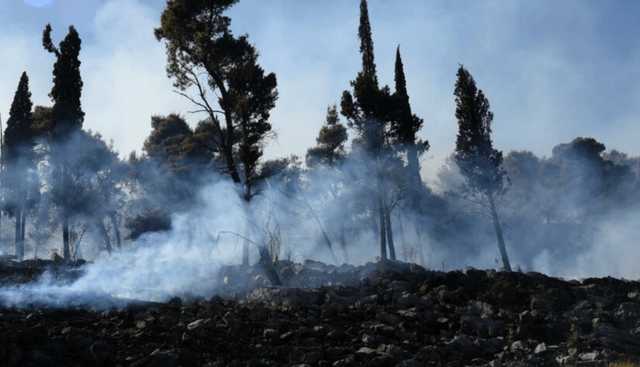 В Черногории вспыхнул масштабный пожар: Огонь подобрался к столице страны