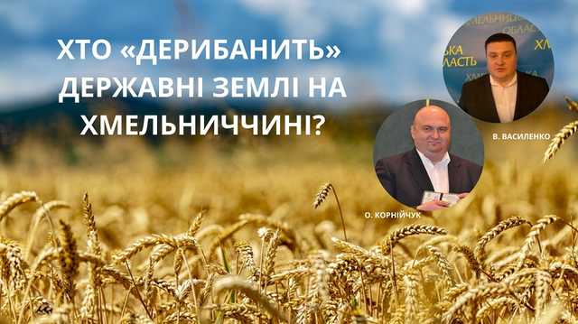 Рейдерство як зворотна сторона земельної реформи