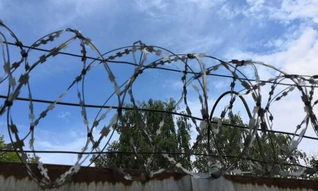 Находящиеся в колониях в ОРДЛО занимаются мошенничеством, это поощряют "администрации", - Гармаш