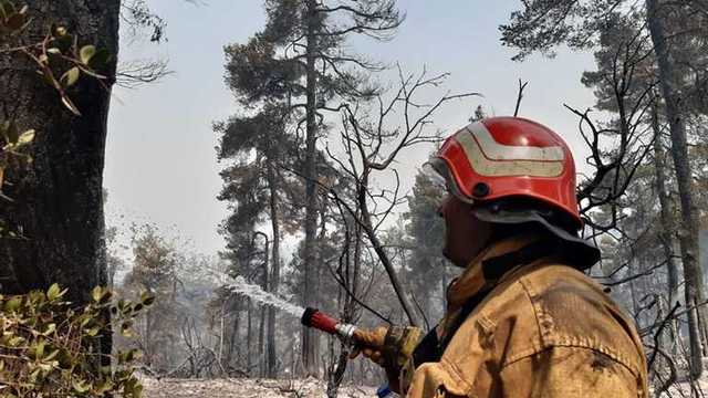 Украинские спасатели в Греции спасли жилой дом от сокрушительных пожаров