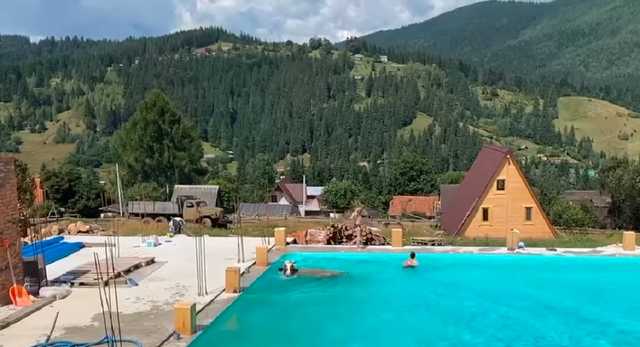 В Карпатах в бассейн к туристам неожиданно прыгнула корова