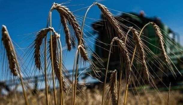 Фермеры Украины получат деньги за потерянные посевы: сколько возместят за гектар