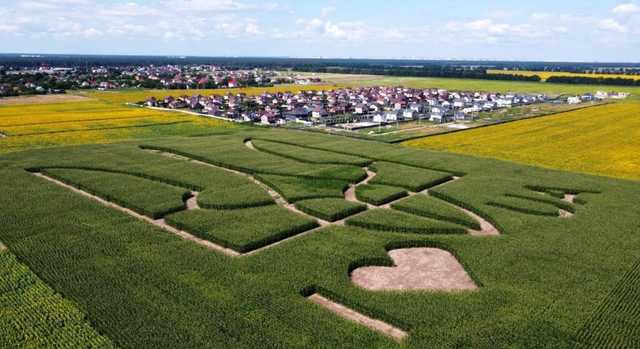 Як подолати рейдерство? Чи будуть «суди Лінча» й «Коліївщина» проти рейдерів?