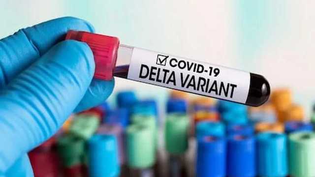 Еще в одной области обнаружили штамм Дельта