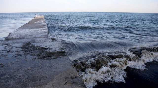 У морі біля Одеси нашестя морських черв’яків