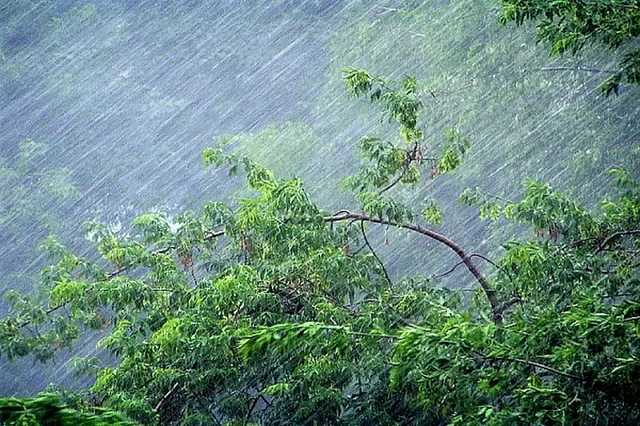 Страшная непогода накрыла Симферополь: самолеты отменяют вылеты