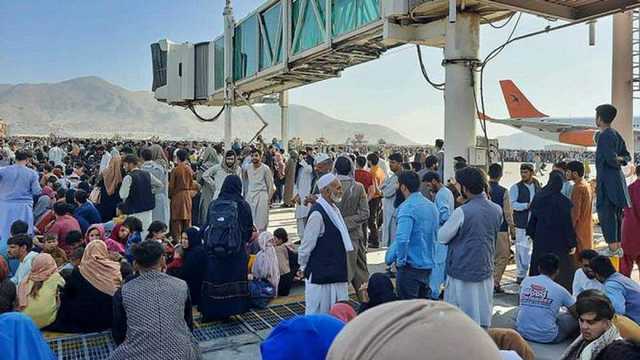 "С нами женщины и дети, спасите нас": афганцы умоляют украинскую власть о помощи