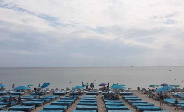 Вода ледяная, полно водорослей: появились фото опустевших пляжей Одессы