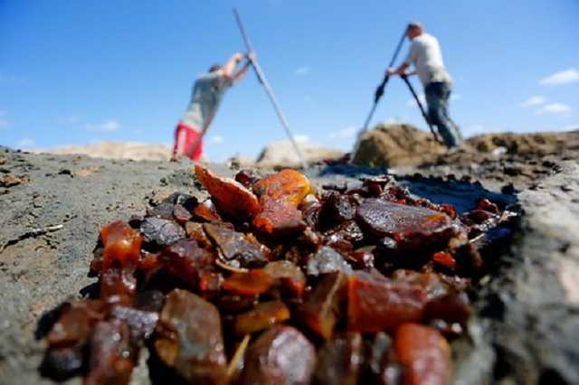 Соратникам Тимошенко отдали добычу янтаря в Ровенской области