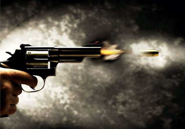 Советник мэра Василькова открыл стрельбу в цирке