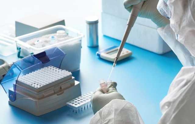 В США ученые нашли антитело, способное нейтрализовать все известные штаммы коронавируса