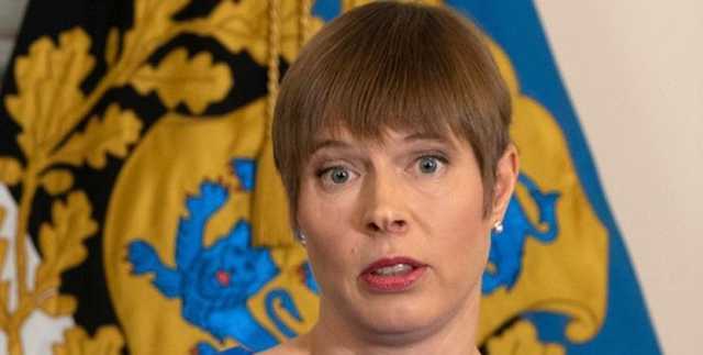 Украина вступит в ЕС не ранее, чем через 20 лет, – президент Эстонии