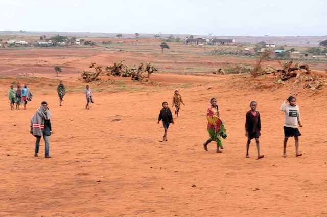 На Мадагаскаре люди голодают и едят насекомых из-за изменений климата