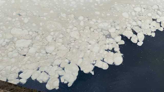 В Одессе море покрылось неизвестной субстанцией: чувствуется сильная вонь