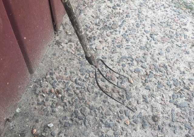 На Николаевщине мужчина заколол брата вилами