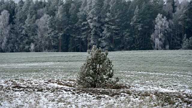 В Украине могут исчезнуть зимы, – синоптик