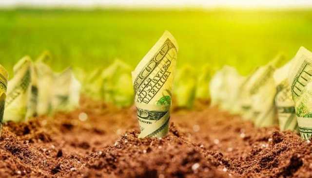 На рынке сельхозземель заключено 11 тысяч сделок