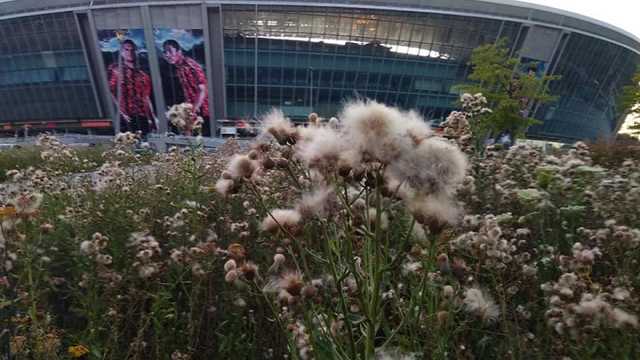 Оккупанты рассказали, под чье «управление» переходит «Донбасс Арена»