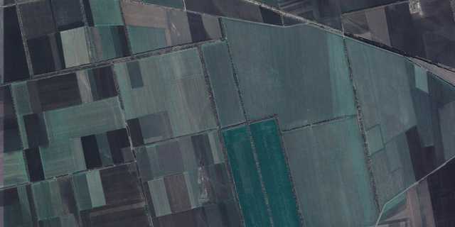 Дикунство державного масштабу: землі природно-заповідного фонду разорюють